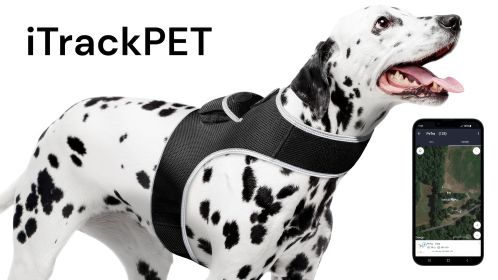 Less Maintenance Mini Collar GPS Pet Tracker Portable Pet Site Monitor Size:XXL